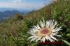 Dateiname=Oberstaufen_079.JPG
Dateigröße=198KB
Abmessungen: 450x300
hinzugefügt am: 11. September 2013 Oberstaufen_079.JPG