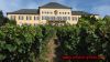 Dateiname=Rheingau-2010_0074.JPG
Dateigröße=186KB
Abmessungen: 450x253
hinzugefügt am: 22. September 2010 Rheingau-2010_0074.JPG