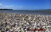Dateiname=NZ_00274.JPG
Dateigröße=111KB
Abmessungen: 450x292
hinzugefügt am: 15. März 2015 NZ_00274.JPG