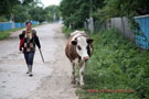 Dateiname=Ukraine2007_052.jpg
Dateigröße=71KB
Abmessungen: 450x300
hinzugefügt am: 18. Juli 2007 Ukraine2007_052.jpg