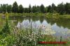 Dateiname=N-H-Pavillion_005.jpg
Dateigröße=222KB
Abmessungen: 450x300
hinzugefügt am: 06. Juli 2012 N-H-Pavillion_005.jpg