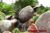Dateiname=Thailand-2012_0115.JPG
Dateigröße=241KB
Abmessungen: 450x300
hinzugefügt am: 27. März 2012 Thailand-2012_0115.JPG